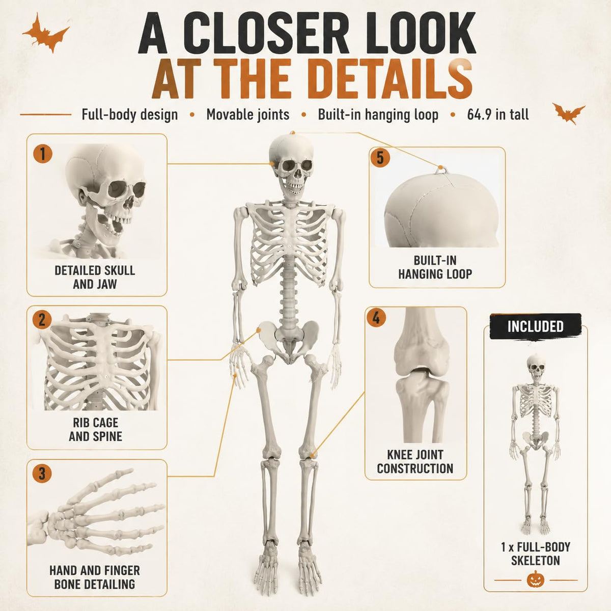 Life Size Posable Full Body Skeleton with Movable Joints and Hanging Loop K16890