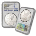 1 oz American Silver Eagle Coin C31966