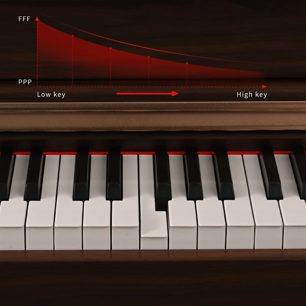 88 Key Full Weighted Digital Piano with Triple Pedal H342078