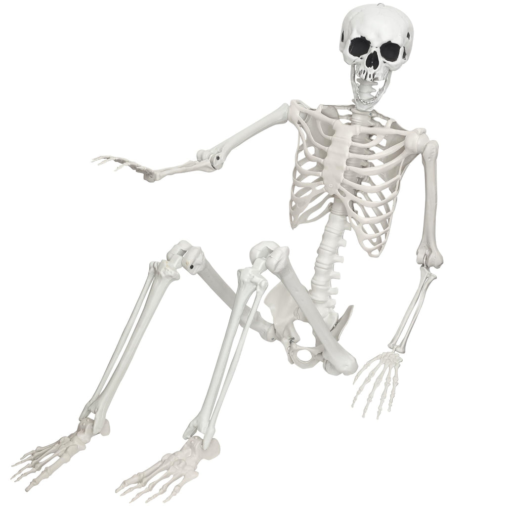 Life Size Posable Skeleton O985926