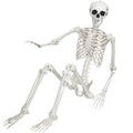 Life Size Posable Skeleton O985926
