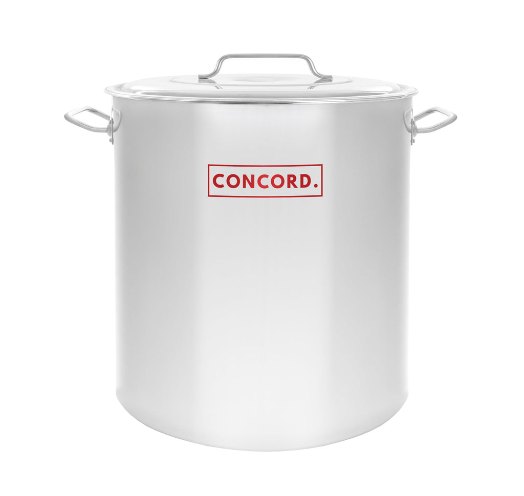 40 Quart Stainless Steel Stock Pot + 12" Stainless Steel Single Propane Stove C809