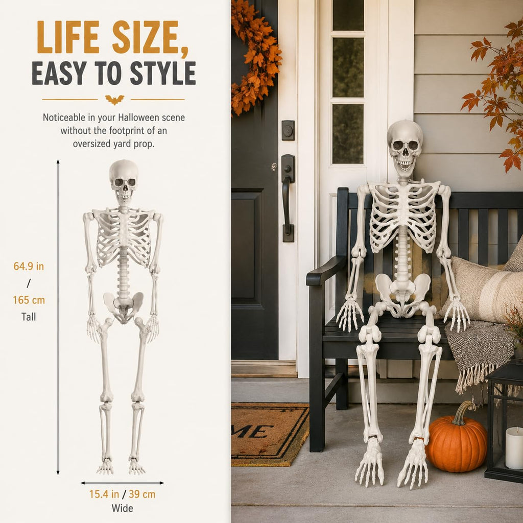 Life Size Posable Full Body Skeleton with Movable Joints and Hanging Loop K16890