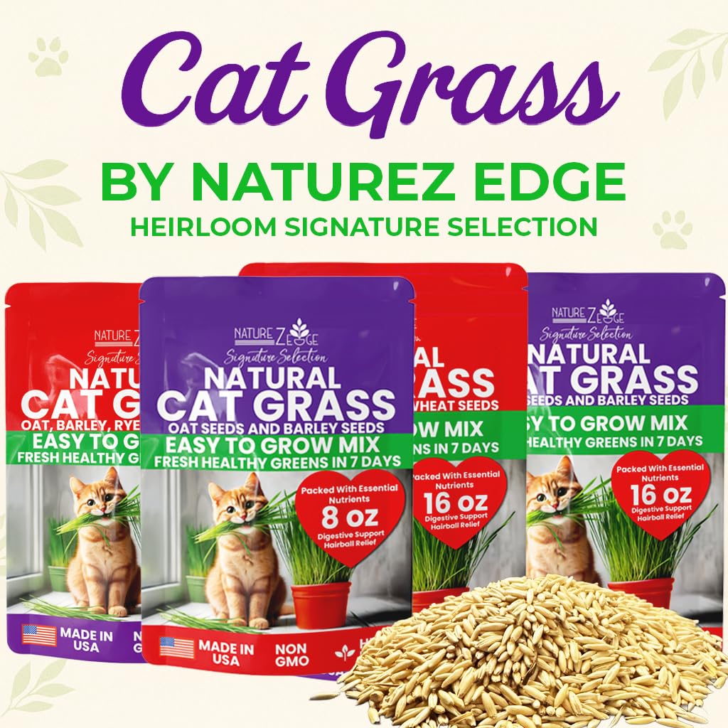 Cat Grass & Catnip Seeds 3 Pack Variety Kit E89539