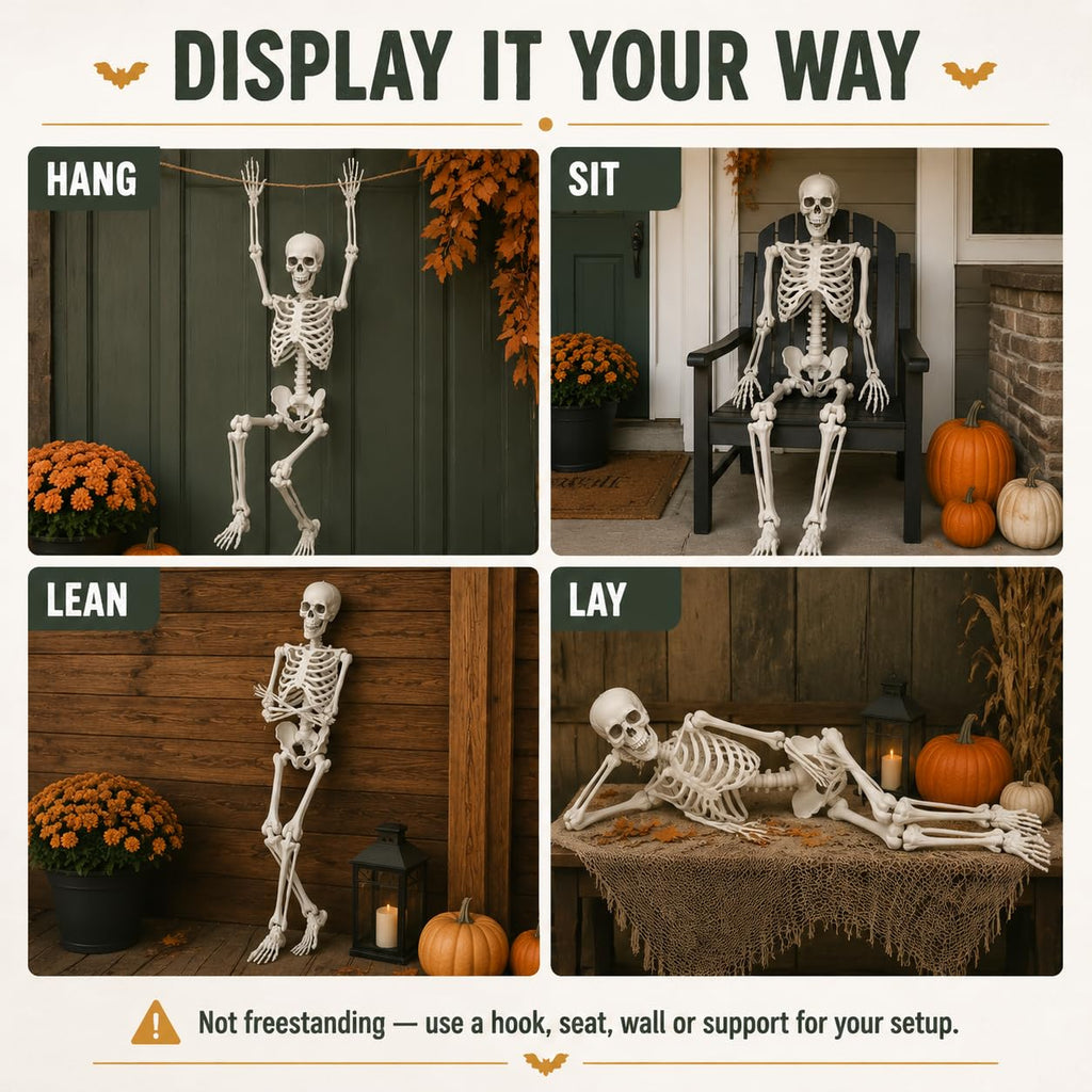 Life Size Posable Full Body Skeleton with Movable Joints and Hanging Loop K16890