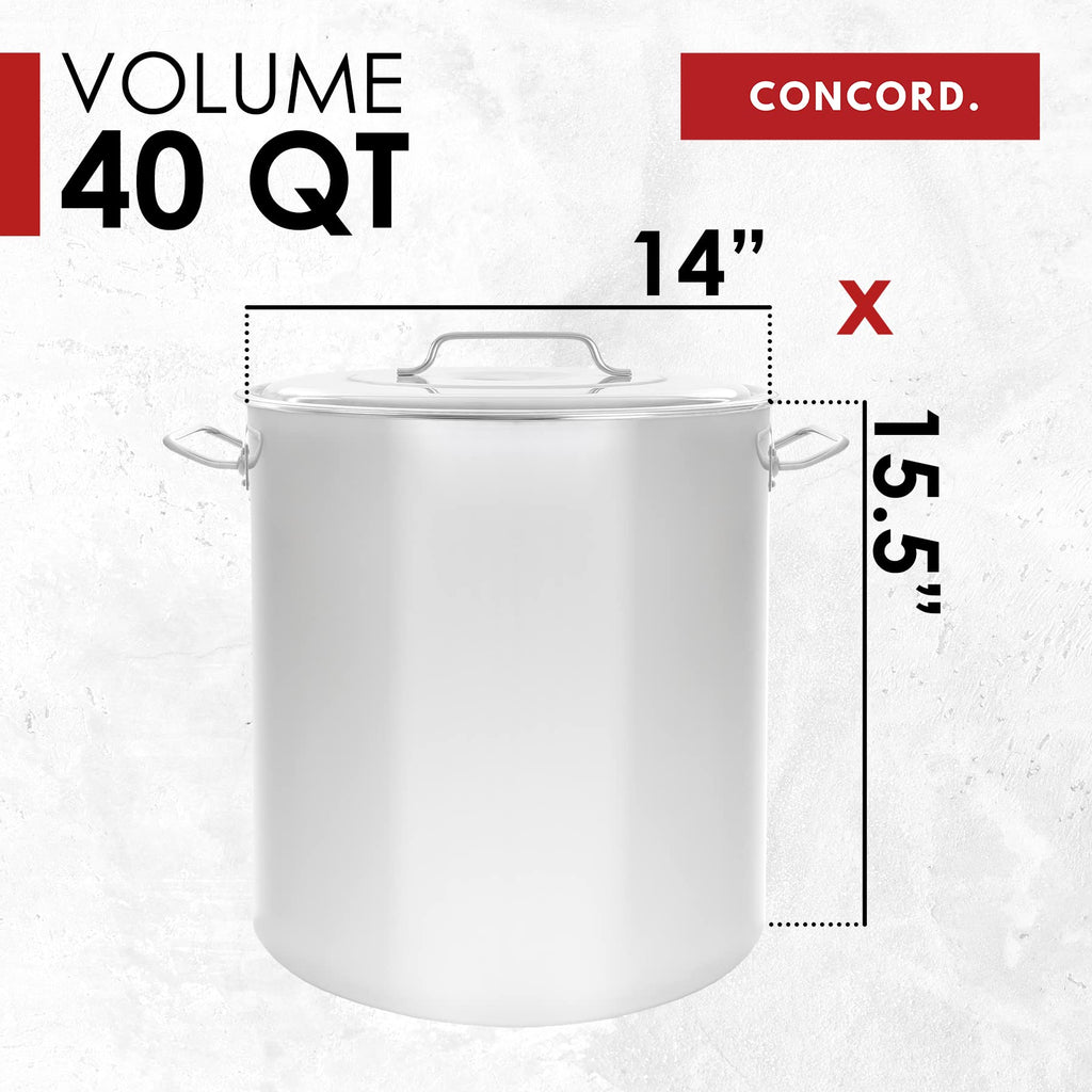 40 Quart Stainless Steel Stock Pot + 12" Stainless Steel Single Propane Stove C809