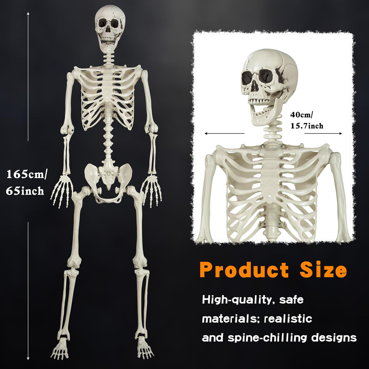 5.4ft Posable Skeleton T33986