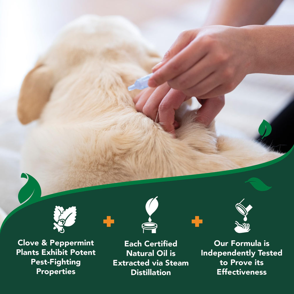 Flea & Tick Drops for Large Dogs N419