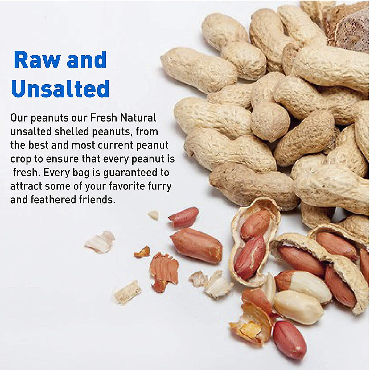 25 Pound Bag Raw Unsalted In-Shell Peanuts K726032