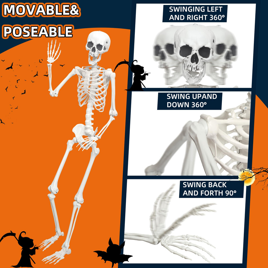 Life Size Posable Skeleton O985926