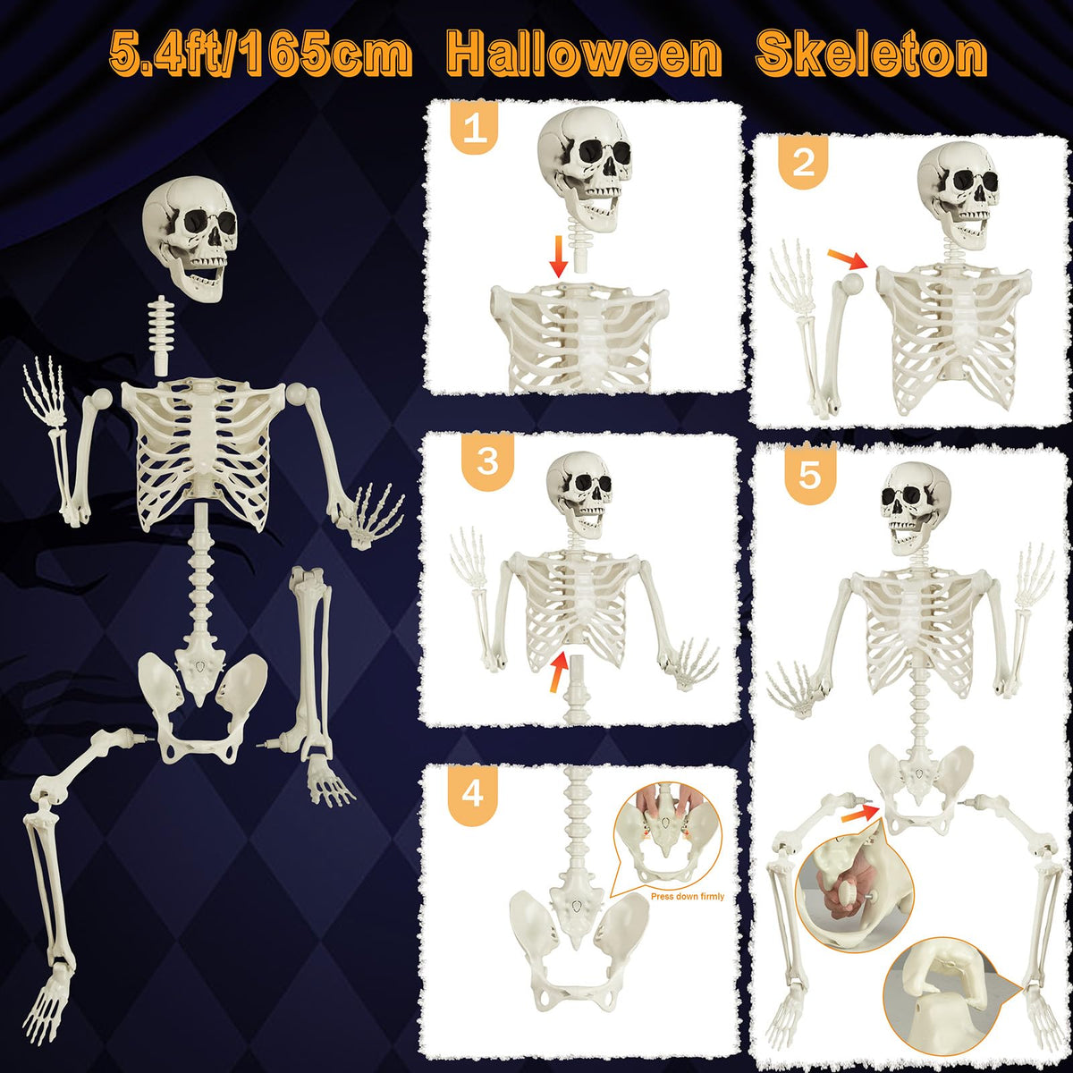 5.4ft Posable Skeleton T33986