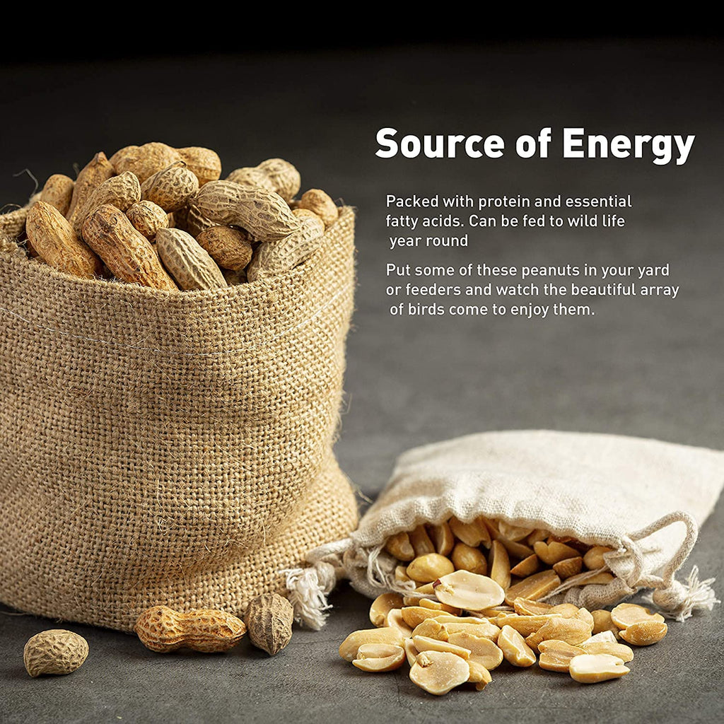 25 Pound Bag Raw Unsalted In-Shell Peanuts K726032