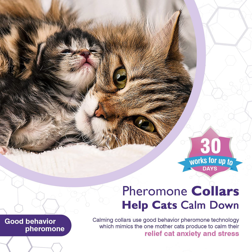 3 Pack Adjustable Calming Collars F107858