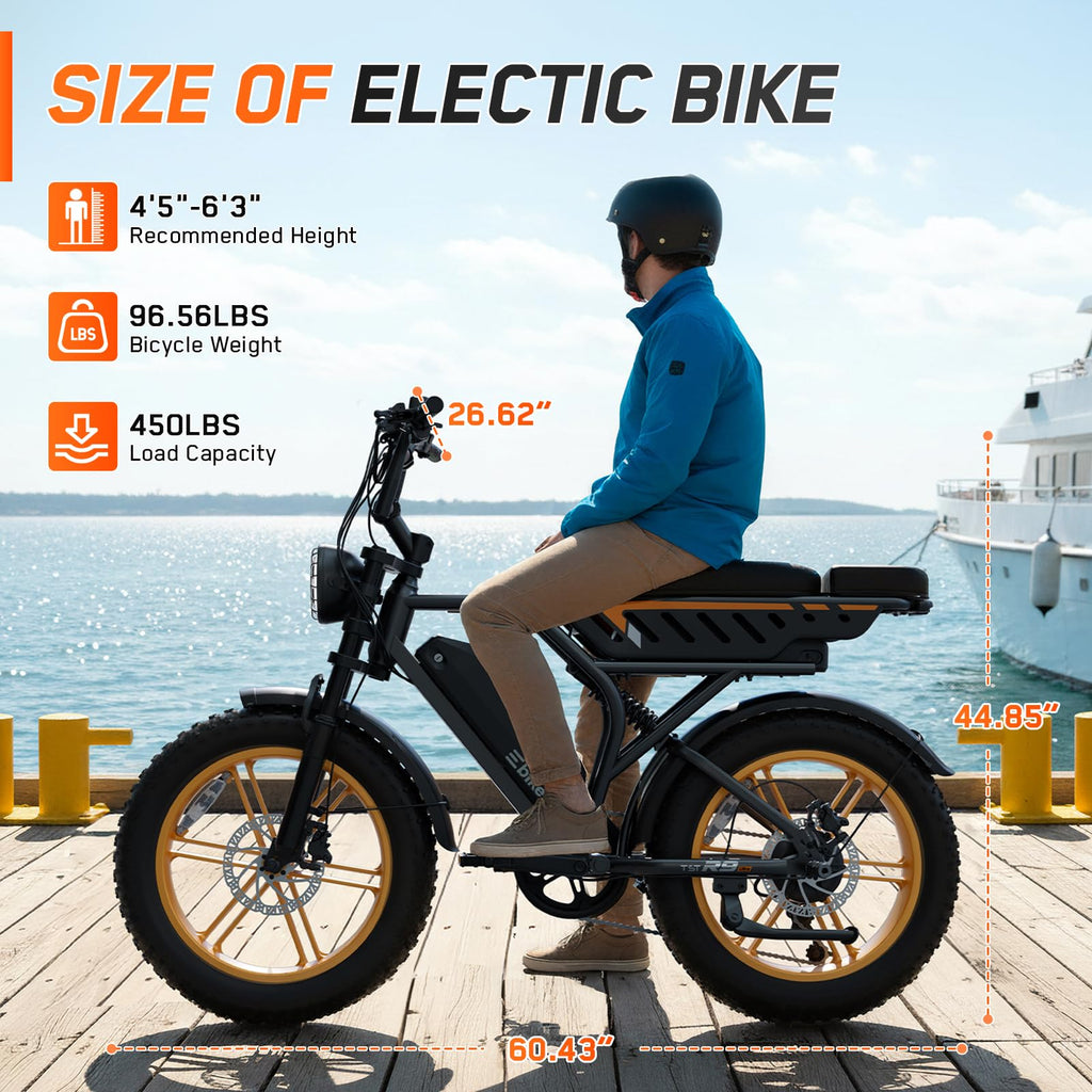 Electric Bike 48V Removable Battery R667692