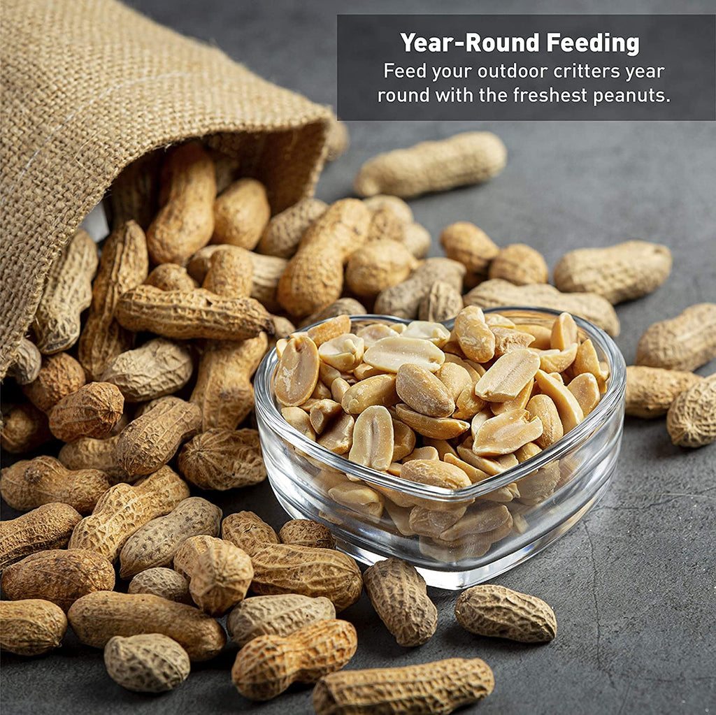 25 Pound Bag Raw Unsalted In-Shell Peanuts K726032