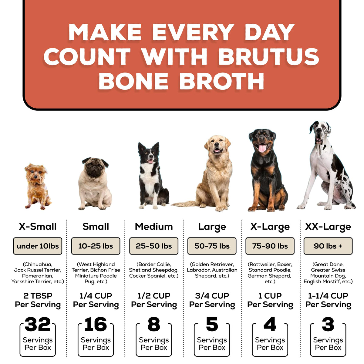 Instant Bone Broth Dog Food Topper Beef Flavor Pack of 2 J807