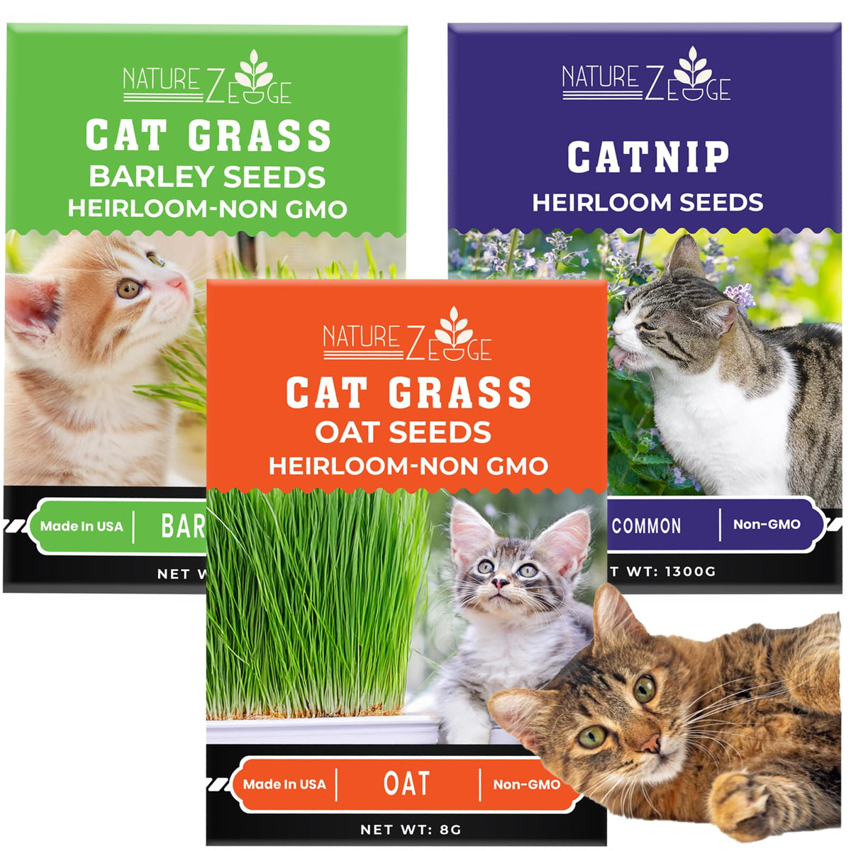 Cat Grass & Catnip Seeds 3 Pack Variety Kit E89539