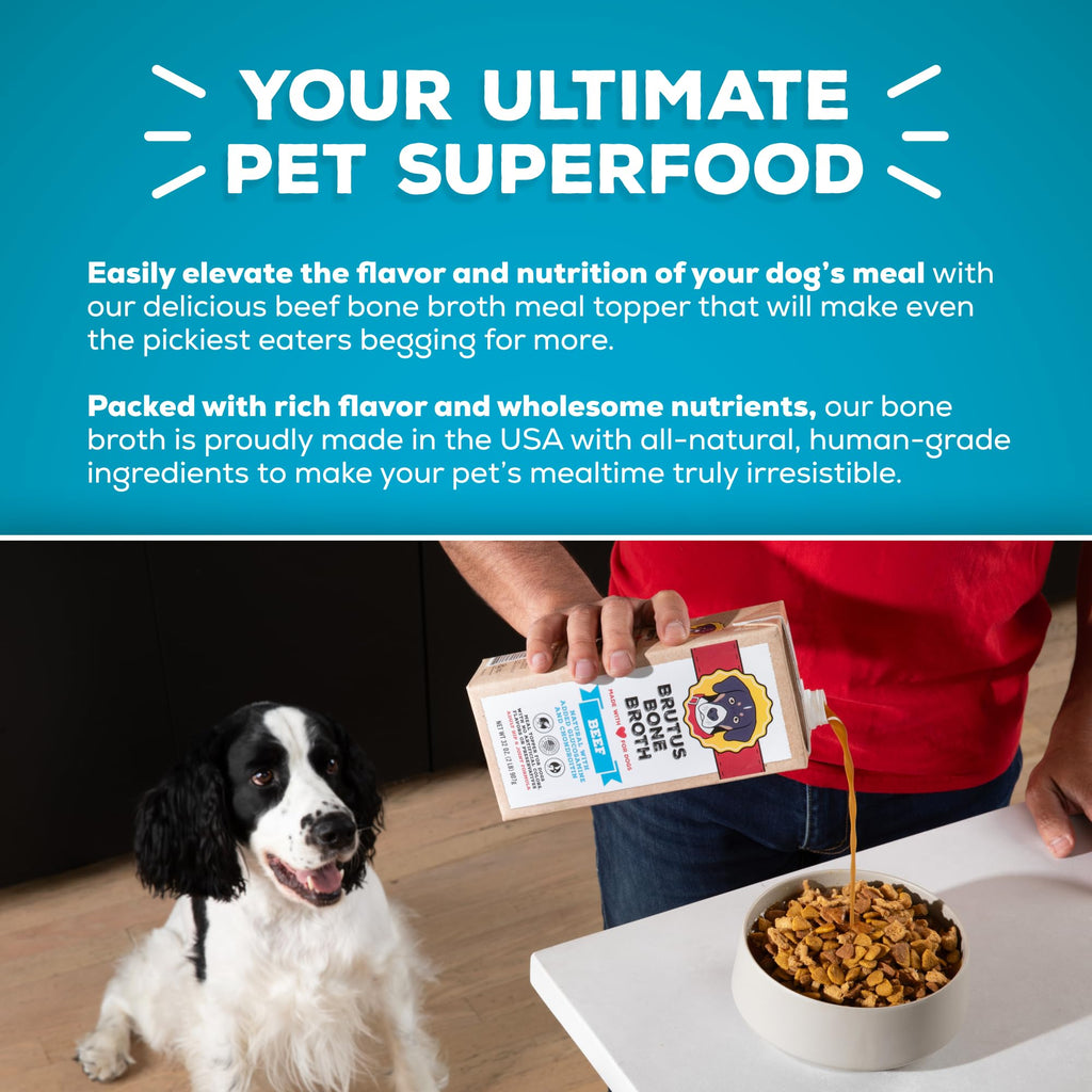 Instant Bone Broth Dog Food Topper Beef Flavor Pack of 2 J807