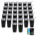 32 Pack 20oz Stainless Steel Insulated Tumblers with Lid & Straw Z644