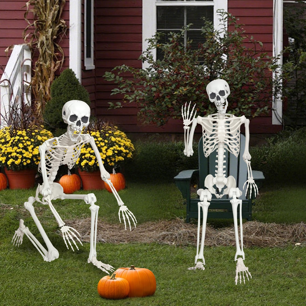 Life Size Posable Skeleton O985926
