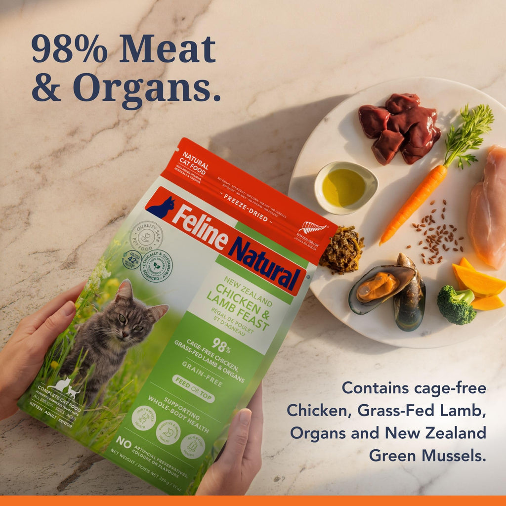 High Protein Freeze Dried Cat Food I69137