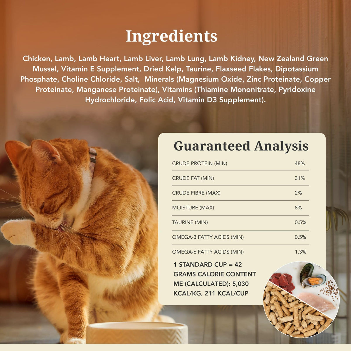 High Protein Freeze Dried Cat Food I69137
