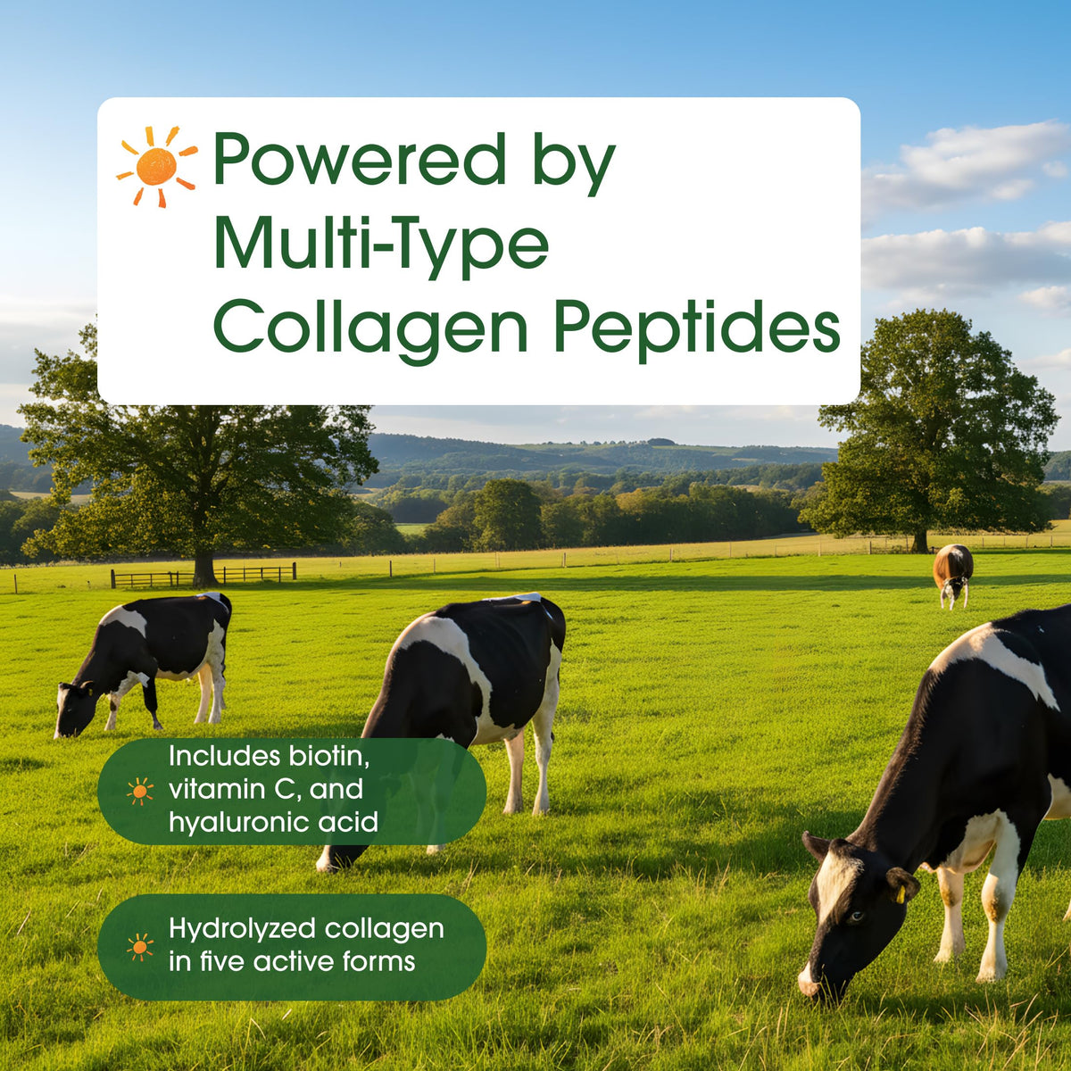 Hydrolyzed Collagen Peptides Protein Powder 600g Unflavored C352940