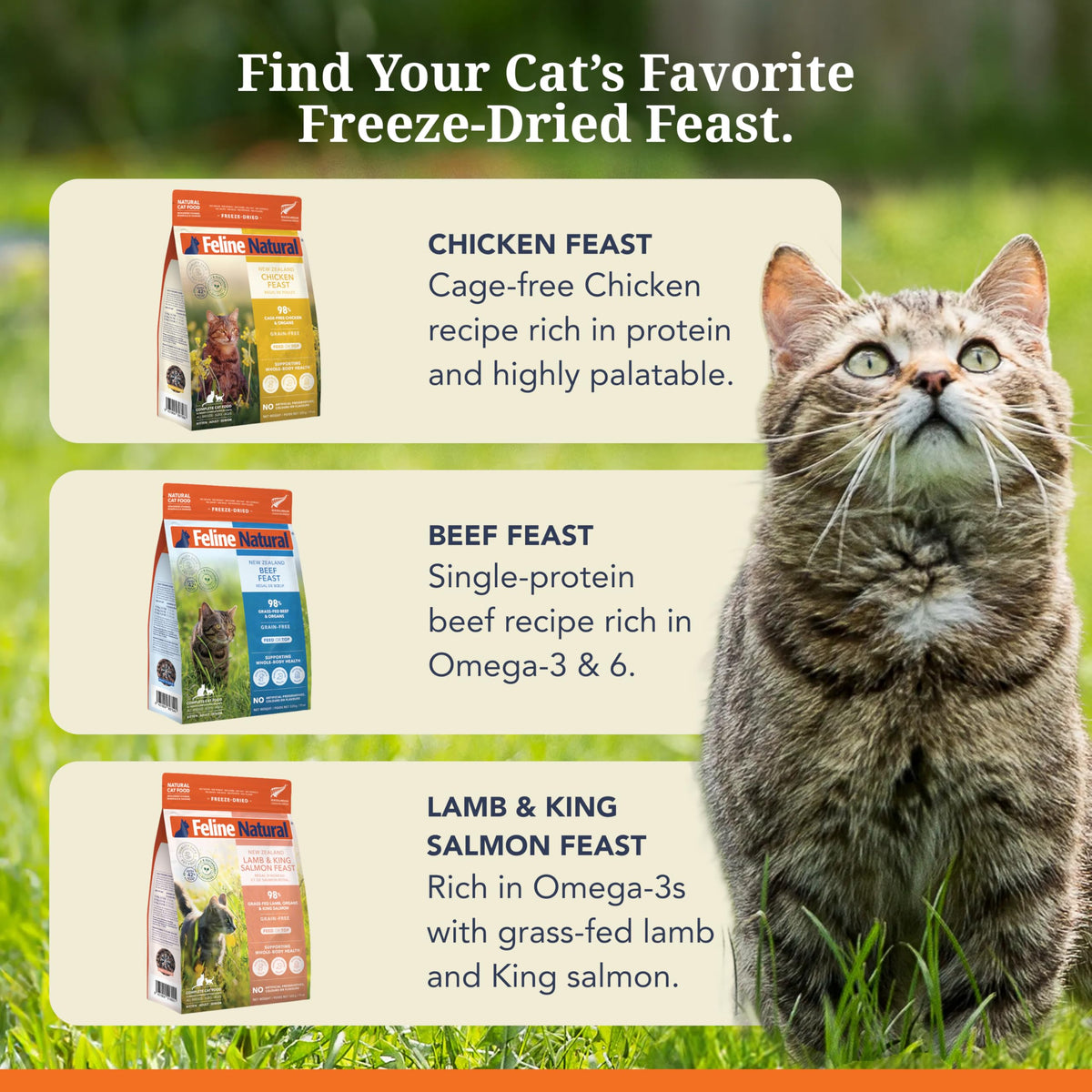 High Protein Freeze Dried Cat Food I69137